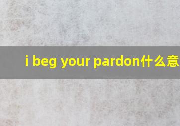 i beg your pardon什么意思